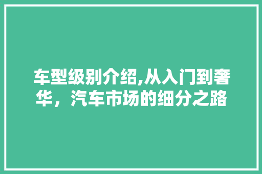 车型级别介绍,从入门到奢华，汽车市场的细分之路 新款车型