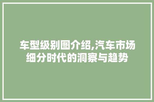 车型级别图介绍,汽车市场细分时代的洞察与趋势