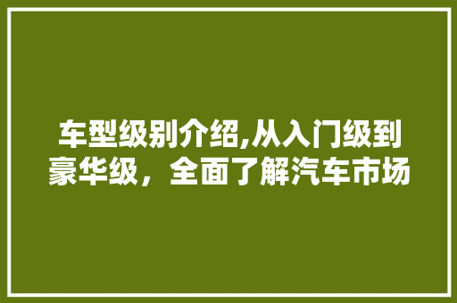 车型级别介绍,从入门级到豪华级，全面了解汽车市场