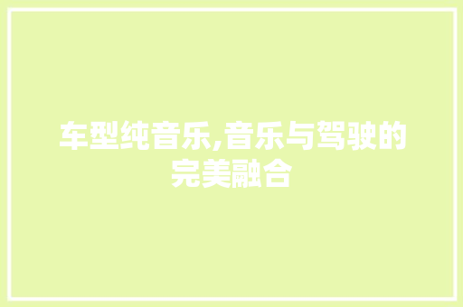车型纯音乐,音乐与驾驶的完美融合 新能源汽车