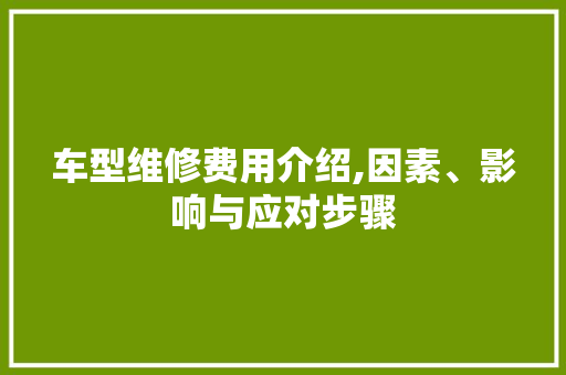 车型维修费用介绍,因素、影响与应对步骤