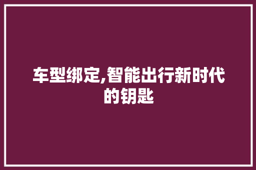 车型绑定,智能出行新时代的钥匙