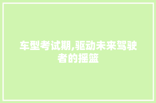 车型考试期,驱动未来驾驶者的摇篮