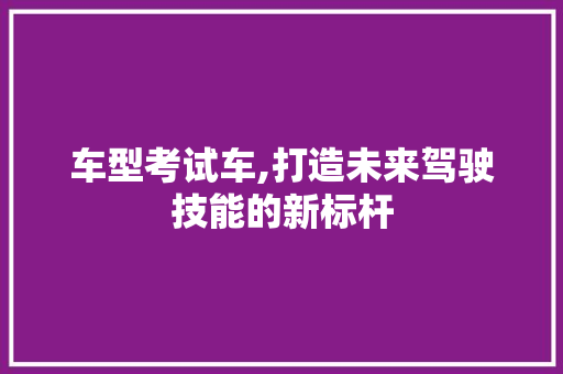 车型考试车,打造未来驾驶技能的新标杆