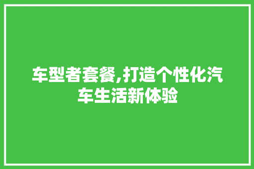 车型者套餐,打造个性化汽车生活新体验