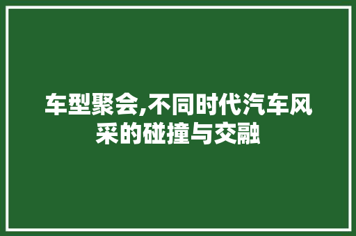 车型聚会,不同时代汽车风采的碰撞与交融