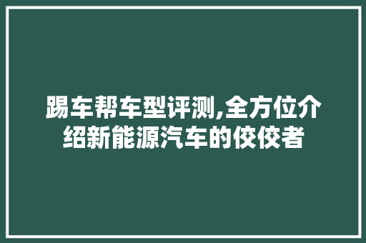 踢车帮车型评测,全方位介绍新能源汽车的佼佼者