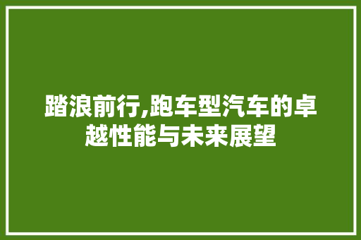 踏浪前行,跑车型汽车的卓越性能与未来展望