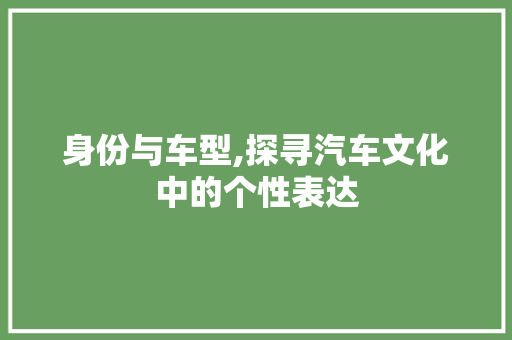 身份与车型,探寻汽车文化中的个性表达