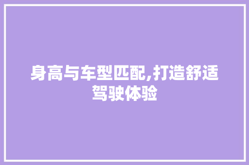 身高与车型匹配,打造舒适驾驶体验