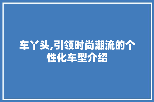 车丫头,引领时尚潮流的个性化车型介绍