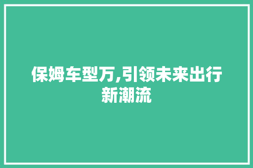 保姆车型万,引领未来出行新潮流