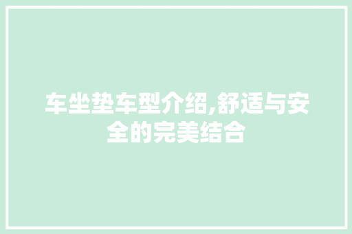 车坐垫车型介绍,舒适与安全的完美结合