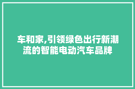 车和家,引领绿色出行新潮流的智能电动汽车品牌