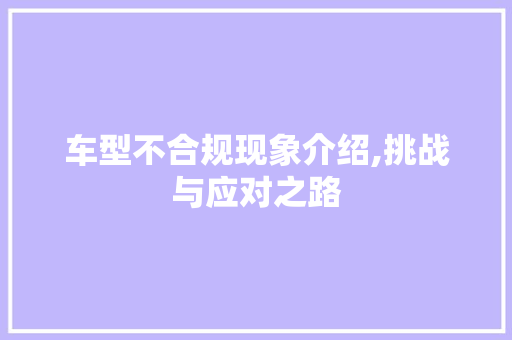 车型不合规现象介绍,挑战与应对之路