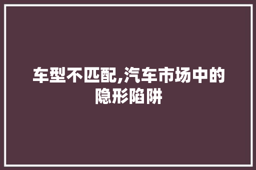 车型不匹配,汽车市场中的隐形陷阱