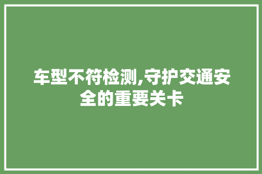 车型不符检测,守护交通安全的重要关卡