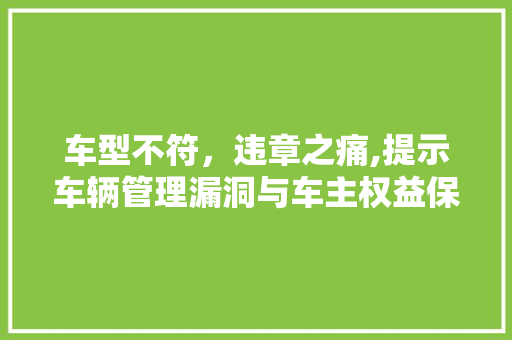 车型不符，违章之痛,提示车辆管理漏洞与车主权益保障