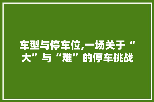 车型与停车位,一场关于“大”与“难”的停车挑战