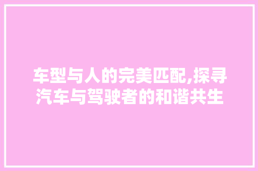 车型与人的完美匹配,探寻汽车与驾驶者的和谐共生