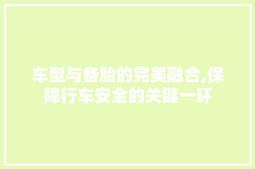 车型与备胎的完美融合,保障行车安全的关键一环