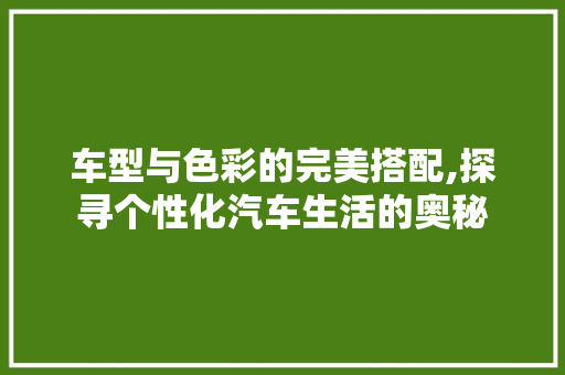 车型与色彩的完美搭配,探寻个性化汽车生活的奥秘