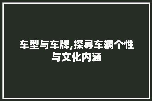车型与车牌,探寻车辆个性与文化内涵