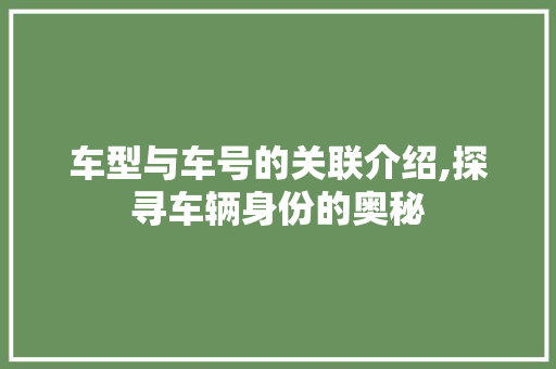车型与车号的关联介绍,探寻车辆身份的奥秘