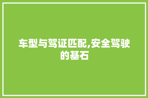 车型与驾证匹配,安全驾驶的基石