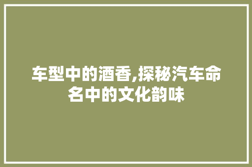 车型中的酒香,探秘汽车命名中的文化韵味