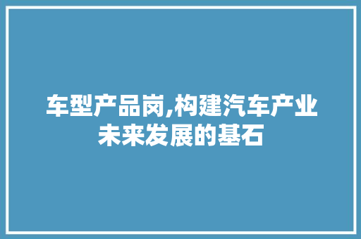 车型产品岗,构建汽车产业未来发展的基石