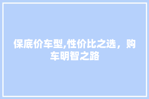 保底价车型,性价比之选，购车明智之路