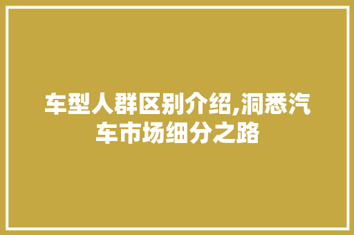 车型人群区别介绍,洞悉汽车市场细分之路
