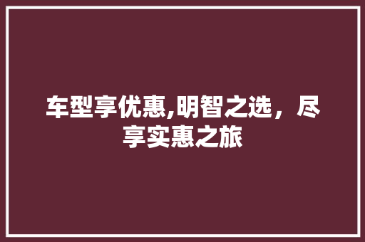 车型享优惠,明智之选，尽享实惠之旅