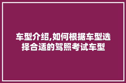 车型介绍,如何根据车型选择合适的驾照考试车型