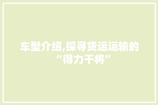 车型介绍,探寻货运运输的“得力干将”