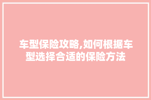 车型保险攻略,如何根据车型选择合适的保险方法