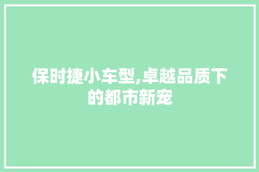 保时捷小车型,卓越品质下的都市新宠