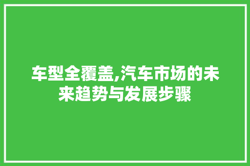 车型全覆盖,汽车市场的未来趋势与发展步骤
