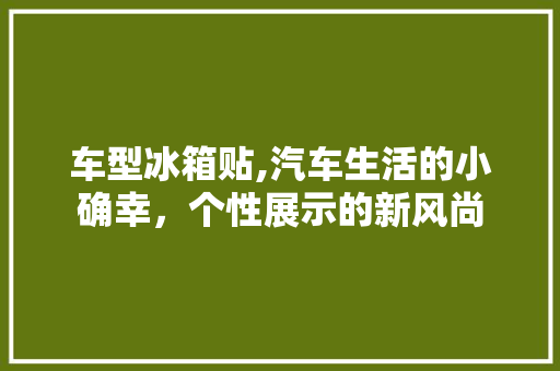 车型冰箱贴,汽车生活的小确幸，个性展示的新风尚