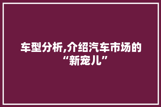车型分析,介绍汽车市场的“新宠儿”