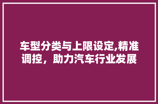 车型分类与上限设定,精准调控，助力汽车行业发展