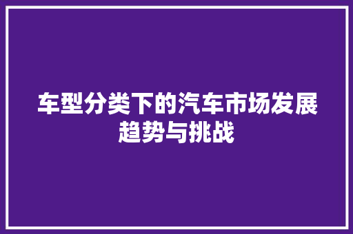 车型分类下的汽车市场发展趋势与挑战
