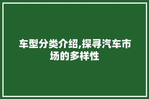 车型分类介绍,探寻汽车市场的多样性