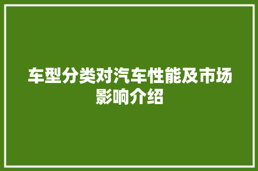 车型分类对汽车性能及市场影响介绍