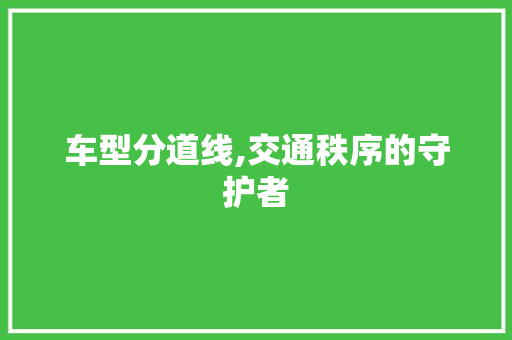 车型分道线,交通秩序的守护者