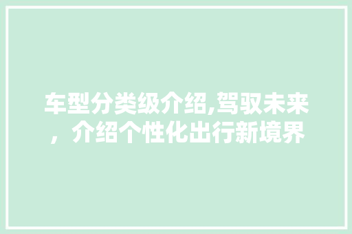车型分类级介绍,驾驭未来，介绍个性化出行新境界