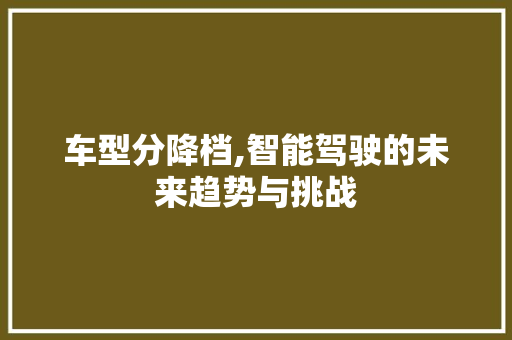 车型分降档,智能驾驶的未来趋势与挑战