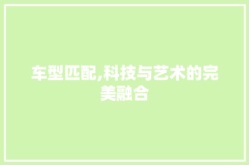 车型匹配,科技与艺术的完美融合