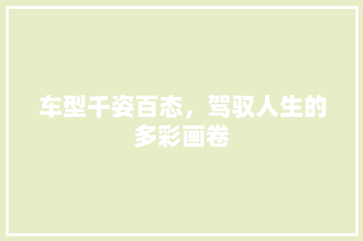 车型千姿百态，驾驭人生的多彩画卷